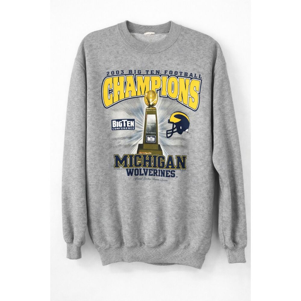 Vintage Michigan Wolverines 2003 Big Ten Champions Sweatshirt Gray NCAA Y2K